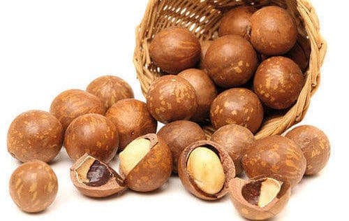 Macadamia nuts
